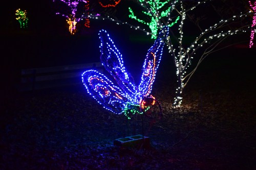 A colorful illuminated butterfly sculpture made of lights, surrounded by festive decorations in a dark park setting.