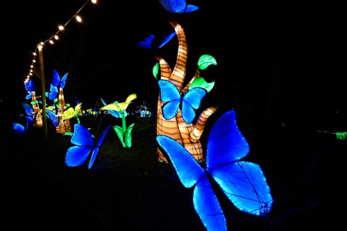 Colorful illuminated butterflies and flowers glow against a dark background, creating a magical nighttime scene.