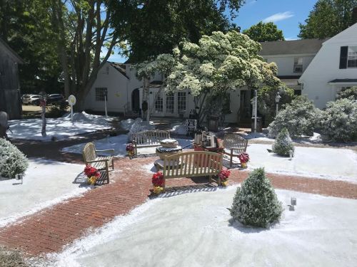 A snowy outdoor scene with benches, flower pots, and small trees, set in a quaint yard with a house in the background.