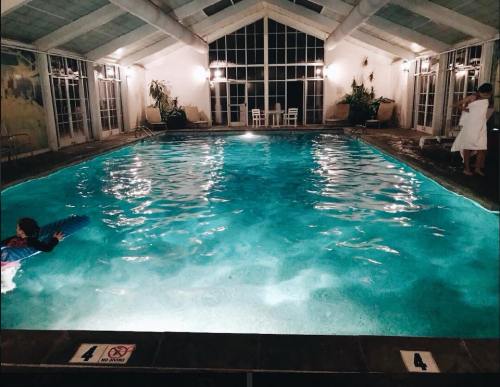 Indoor swimming pool with clear blue water, surrounded by plants and illuminated by soft lighting.