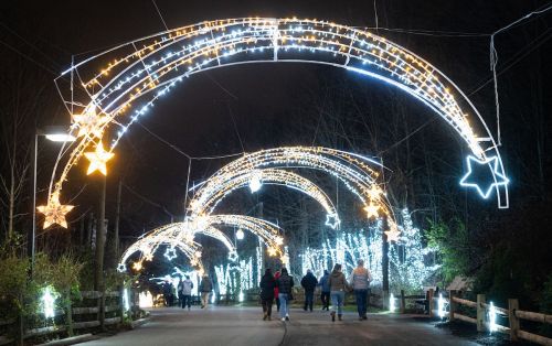 A festive pathway illuminated with glowing arches and stars, with people walking under the lights at night.