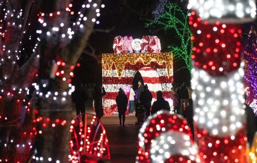 A festive display of colorful holiday lights with people walking through a decorated archway.
