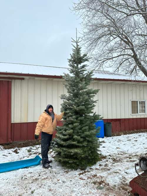 A person in a yellow jacket stands next to a tall, artificial Christmas tree in a snowy outdoor setting.