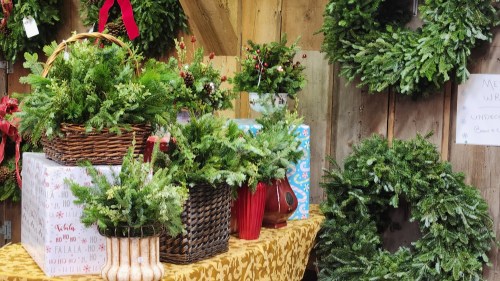 A display of festive wreaths and potted greenery on a table, set against a rustic wooden backdrop.