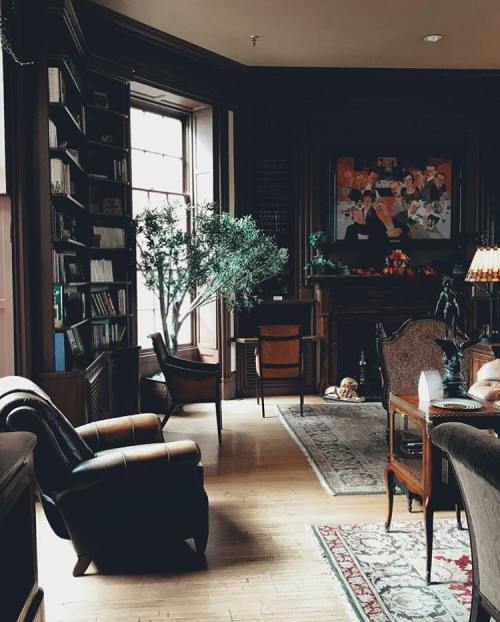 Cozy library with dark wood paneling, bookshelves, a fireplace, and a large window, featuring a green plant and vintage furniture.