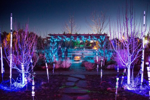 A beautifully lit garden at night, featuring colorful lights on trees and a cozy seating area under a pergola.