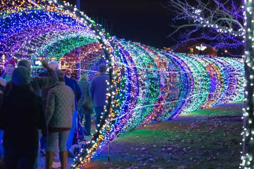 A colorful tunnel of lights with people walking through it at night, surrounded by festive decorations.