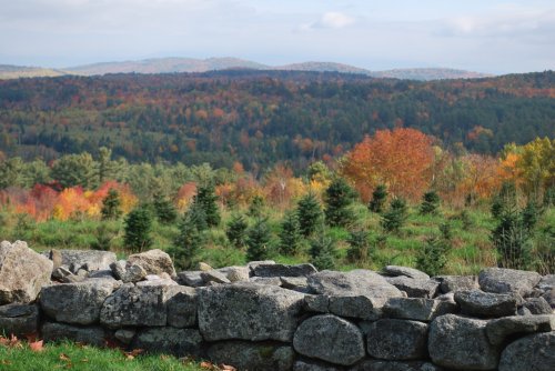 A stone wall overlooks a vibrant autumn landscape with colorful trees and rolling hills in the background.