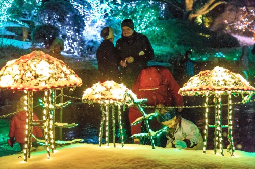 A snowy scene with colorful light displays shaped like mushrooms, while people enjoy the festive atmosphere.