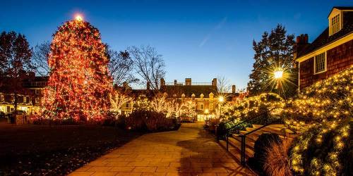 A beautifully lit Christmas tree stands in a festive park at dusk, surrounded by twinkling lights and trees.