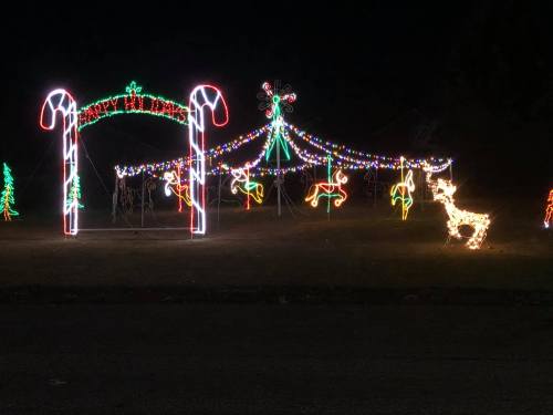 Colorful holiday lights display featuring candy canes, a festive arch, and a reindeer in a nighttime setting.