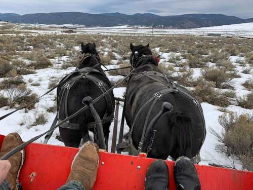 View from a sled pulled by two black horses, with snowy terrain and mountains in the background.