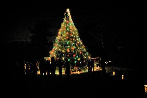 A brightly lit Christmas tree stands tall at night, surrounded by people enjoying the festive atmosphere.