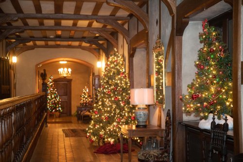 A festive hallway decorated with Christmas trees, lights, and holiday ornaments, creating a warm, inviting atmosphere.