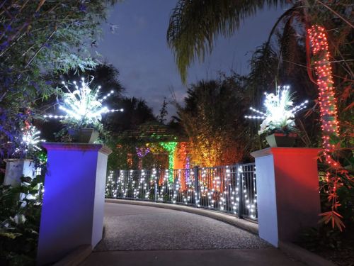 A beautifully lit pathway with colorful lights and decorated plants, leading into a serene garden at dusk.