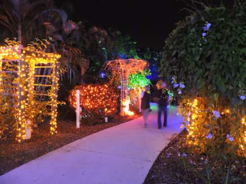 A lit pathway in a garden at night, adorned with colorful lights and surrounded by lush greenery.