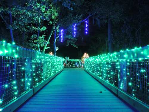 A brightly lit pathway with blue and green lights, surrounded by trees, creating a magical nighttime atmosphere.