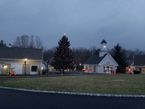 A decorated Christmas tree stands in front of a quaint building, with festive lights and a cloudy evening sky.