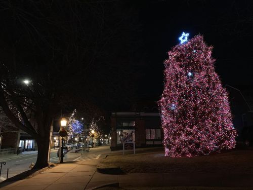 A brightly lit Christmas tree adorned with pink lights stands in a dark, festive street at night.