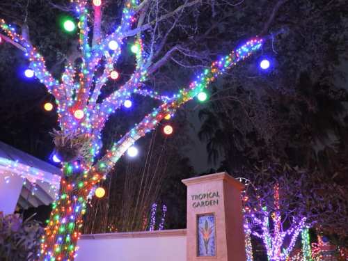 A brightly lit tree adorned with colorful lights next to a sign that reads "Tropical Garden" at night.