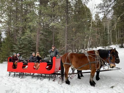 A horse-drawn sleigh with passengers in a snowy forest setting, surrounded by tall trees.