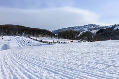 A snowy landscape with ski trails, trees in the background, and a clear sky, inviting winter activities.