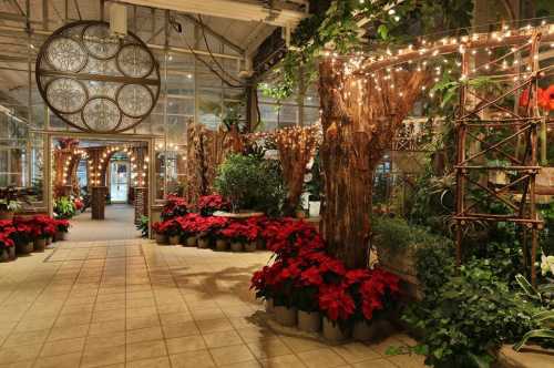 A beautifully lit greenhouse with lush plants and vibrant poinsettias, creating a festive and inviting atmosphere.