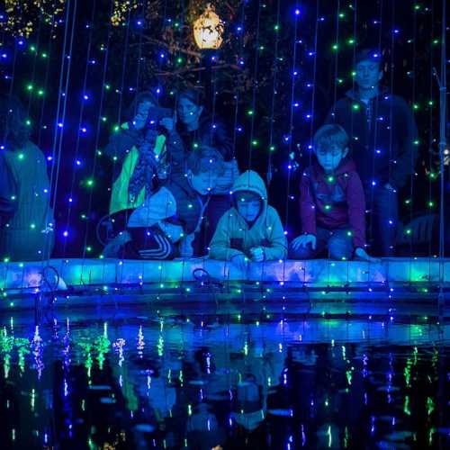 Children gather by a pond, mesmerized by colorful lights reflecting on the water's surface.