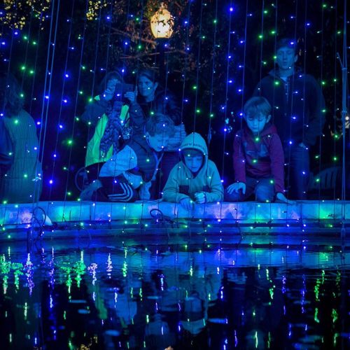 Children gather by a pond, mesmerized by colorful lights reflecting on the water's surface.
