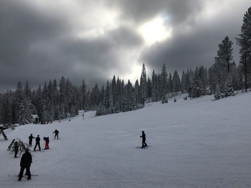 Skiers navigate a snowy slope surrounded by tall evergreen trees under a cloudy sky.