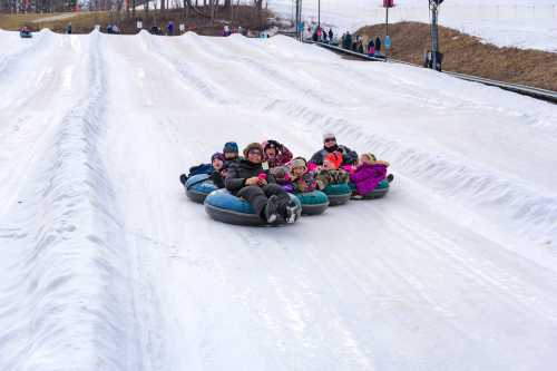 A group of people enjoying snow tubing on a snowy slope, smiling and sitting in inflatable tubes.