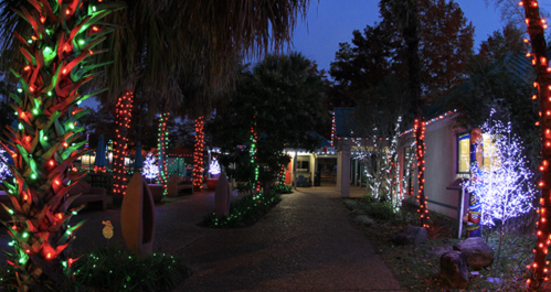 A festive outdoor scene with palm trees and buildings adorned with colorful holiday lights at dusk.