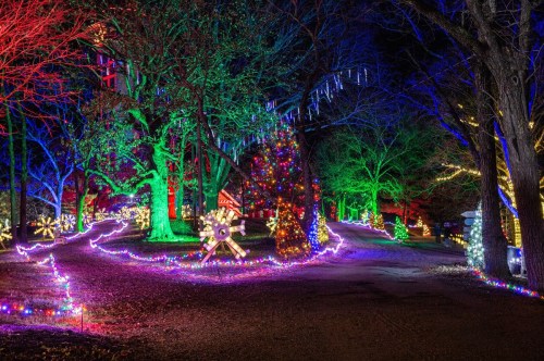 A vibrant display of colorful holiday lights illuminating trees and pathways in a festive outdoor setting.