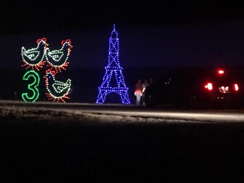 Colorful holiday lights display featuring three chickens and a blue Eiffel Tower at night.