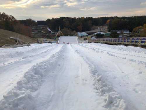 A snowy sledding hill with tracks leading down, surrounded by trees and amusement park structures in the background.