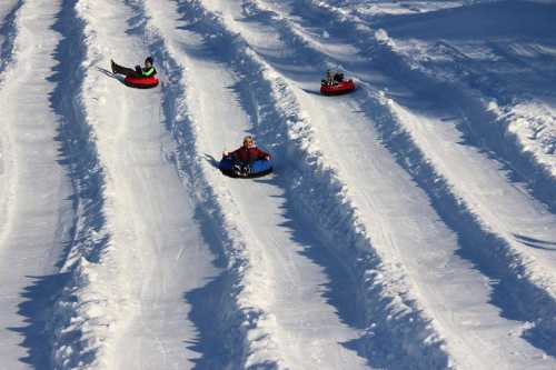 Three people sledding down snowy slopes on colorful tubes, with tracks carved into the fresh snow.