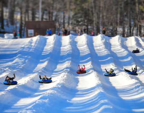 A group of people tubing down snowy slopes, waving and enjoying a winter day in a scenic outdoor setting.