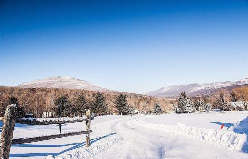 A snowy landscape with a winding road, trees, and mountains under a clear blue sky.