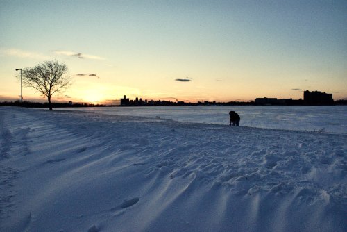 A snowy landscape at sunset, with a silhouette of a tree and a person bending down near the water's edge.