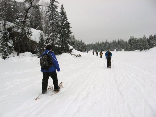 A group of people snowshoeing on a snowy landscape surrounded by trees under a cloudy sky.