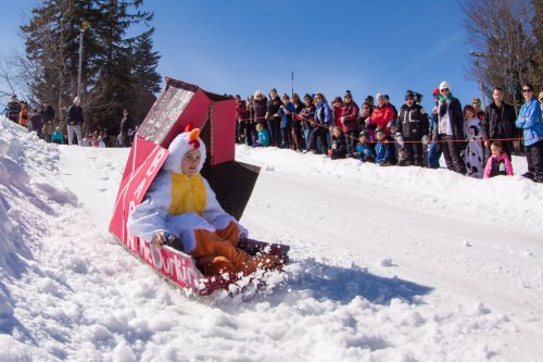 A person in a chicken costume sleds down a snowy hill, while a crowd watches from the side on a sunny day.