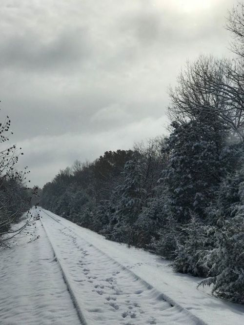 A snow-covered path stretches through a winter landscape, flanked by trees and a cloudy sky.