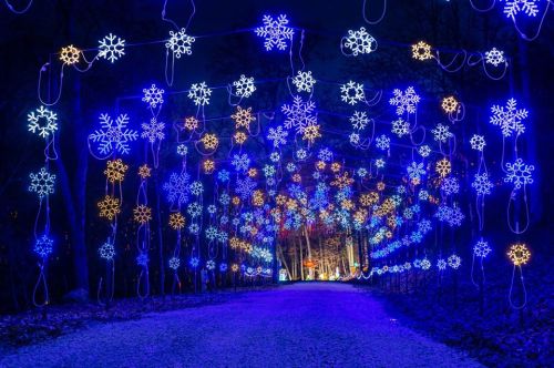 A pathway illuminated by blue and white snowflake lights, creating a magical winter atmosphere at night.