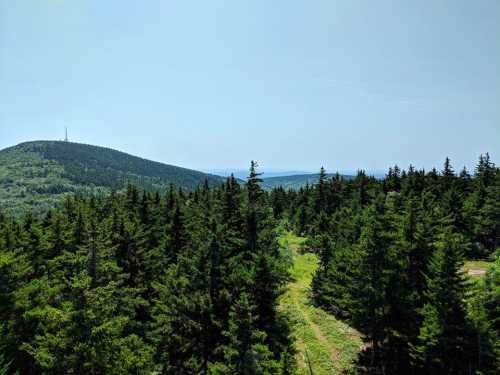 A panoramic view of a lush green forest with rolling hills and a distant communication tower under a clear blue sky.