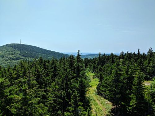 A panoramic view of a lush green forest with rolling hills and a distant communication tower under a clear blue sky.