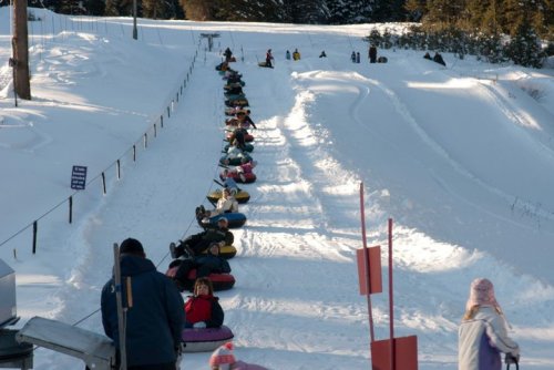 A line of people on snow tubes waiting to slide down a snowy hill, surrounded by trees and winter scenery.