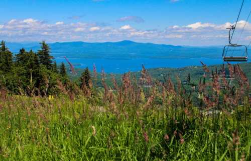 A scenic view from a mountain, featuring lush grass in the foreground and a lake surrounded by hills in the background.