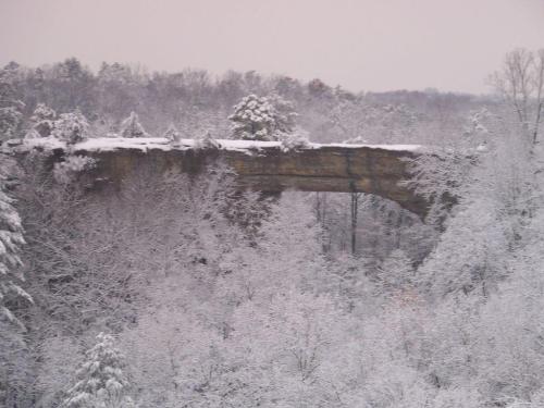 A snow-covered rock arch surrounded by trees blanketed in white, creating a serene winter landscape.