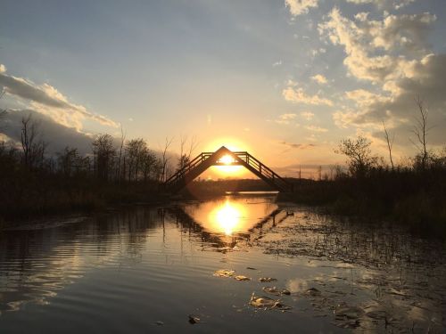 A wooden bridge silhouetted against a sunset, reflecting in calm water with trees in the background.