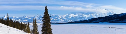 A panoramic view of snow-covered mountains and a frozen lake, with evergreen trees in the foreground under a clear blue sky.